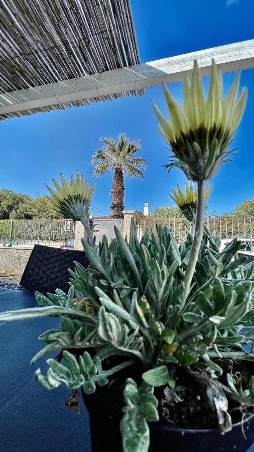 Villa Bouganville Àrbatax Екстериор снимка